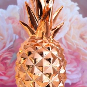 Meet your Posher, Mikala